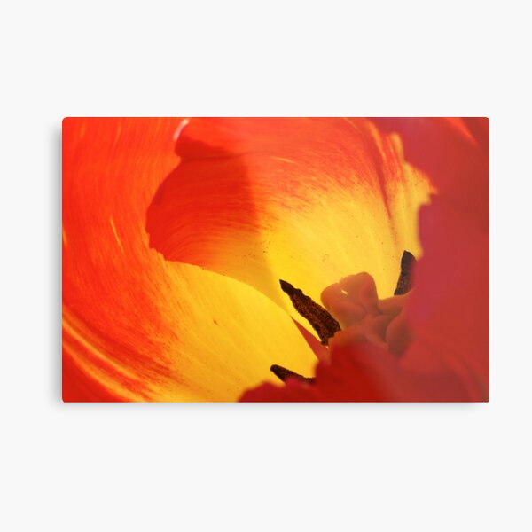 inside the fire's heart Metal Print