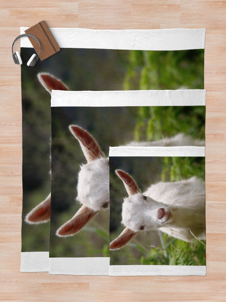 "Baby goat" Throw Blanket by gavila Redbubble