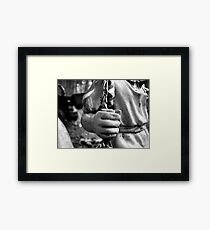 Swing, swing Framed Print