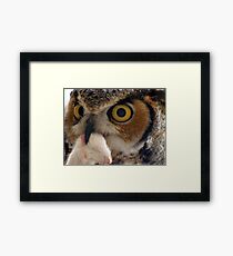 Who? Framed Print