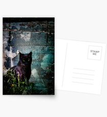 Truth Or Stare? Postcards