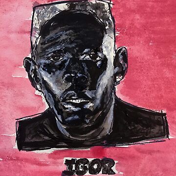 Radioisld Tyler Poster Igor The Creator Music Album Rapper Canvas Poster  12x18inch Unframed