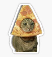 Cat with Pizza Head Sticker