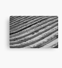 Diagonal Canvas Print