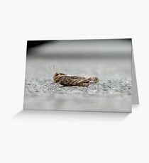 Dood Greeting Card
