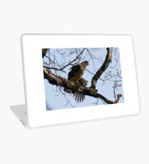 COOPER'S HAWK Laptop Skin