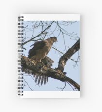 COOPER'S HAWK Spiral Notebook