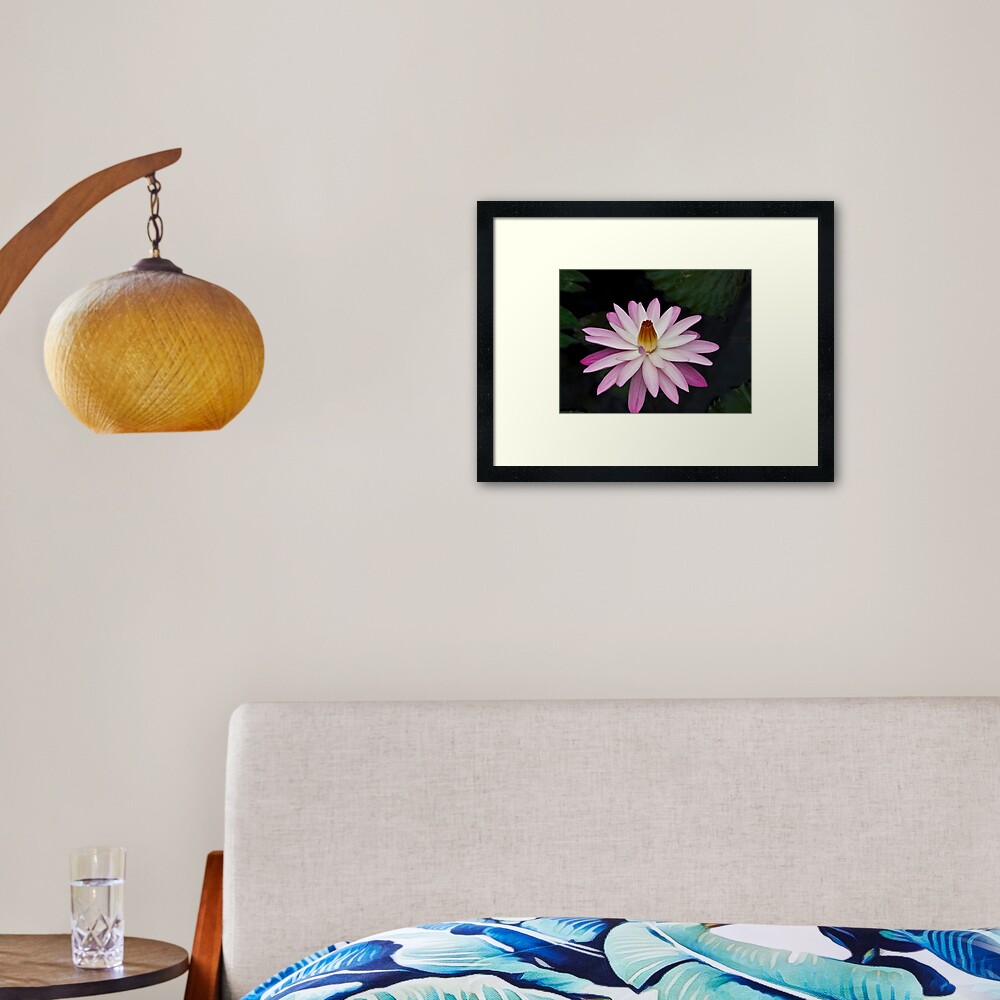 Ninfea Framed Art Print