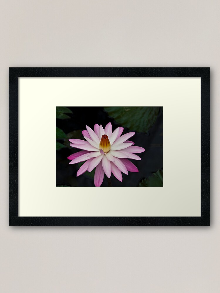 Alternate view of Ninfea Framed Art Print