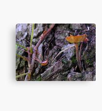 The Climber Canvas Print