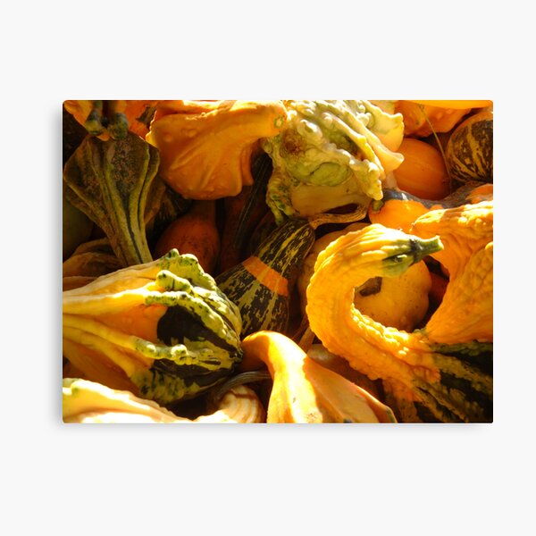 Variety Pack Canvas Print