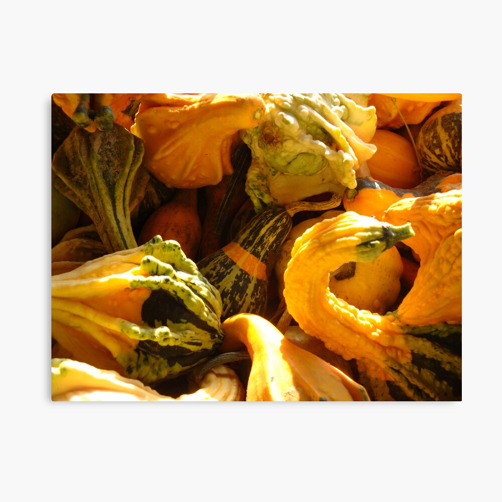 Variety Pack Canvas Print