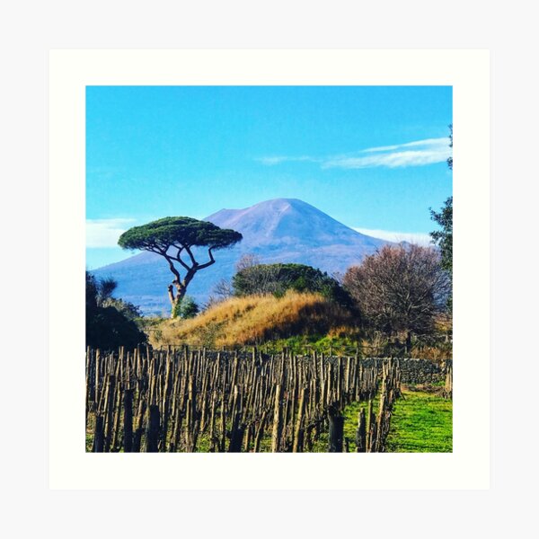 Vesuvius Art Print