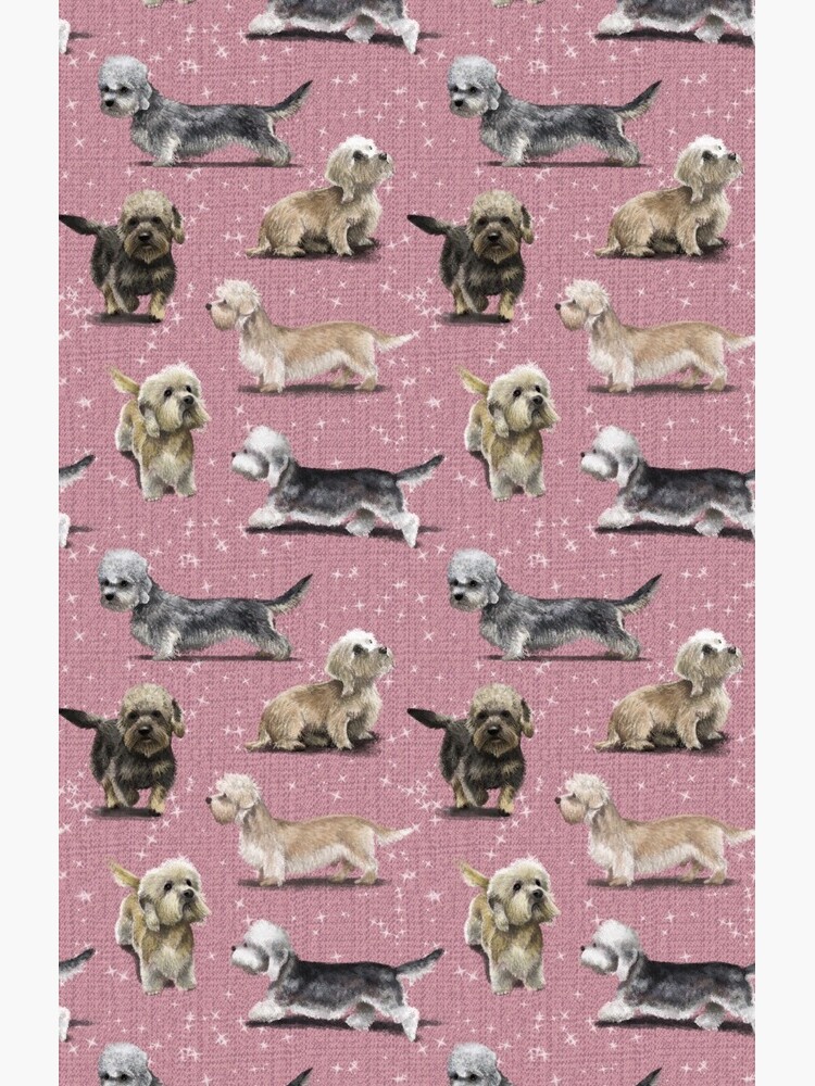 The Dandie Dinmont Pink by elspethrose