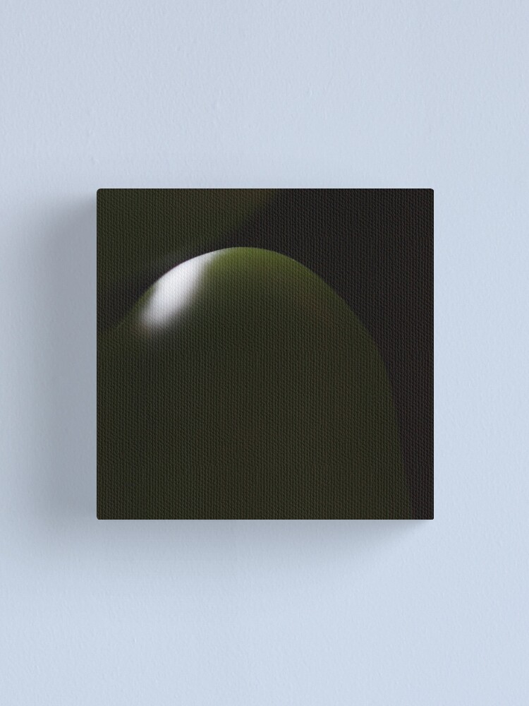 Alternate view of dark green light Canvas Print