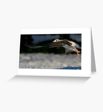 In The Cold Light Of Day Greeting Card
