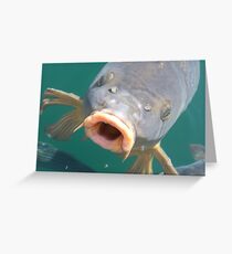 Hungry Greeting Card