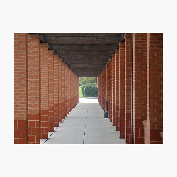 Repetition Photographic Print