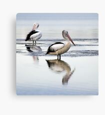 Knee deep.... Canvas Print