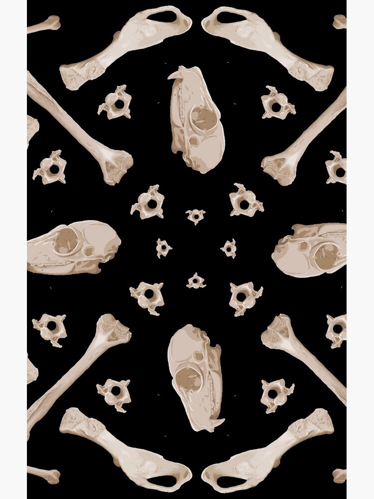 Ruffed Lemur bones by thevexedmuddler