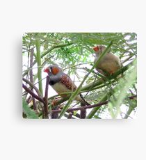 Nudge, Nudge, Wink, Wink Canvas Print