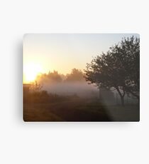 Country Sunrise Metal Print