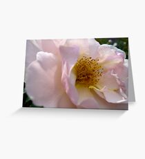 Sweetness Greeting Card