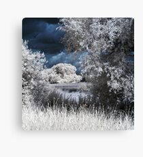 Utopia Canvas Print