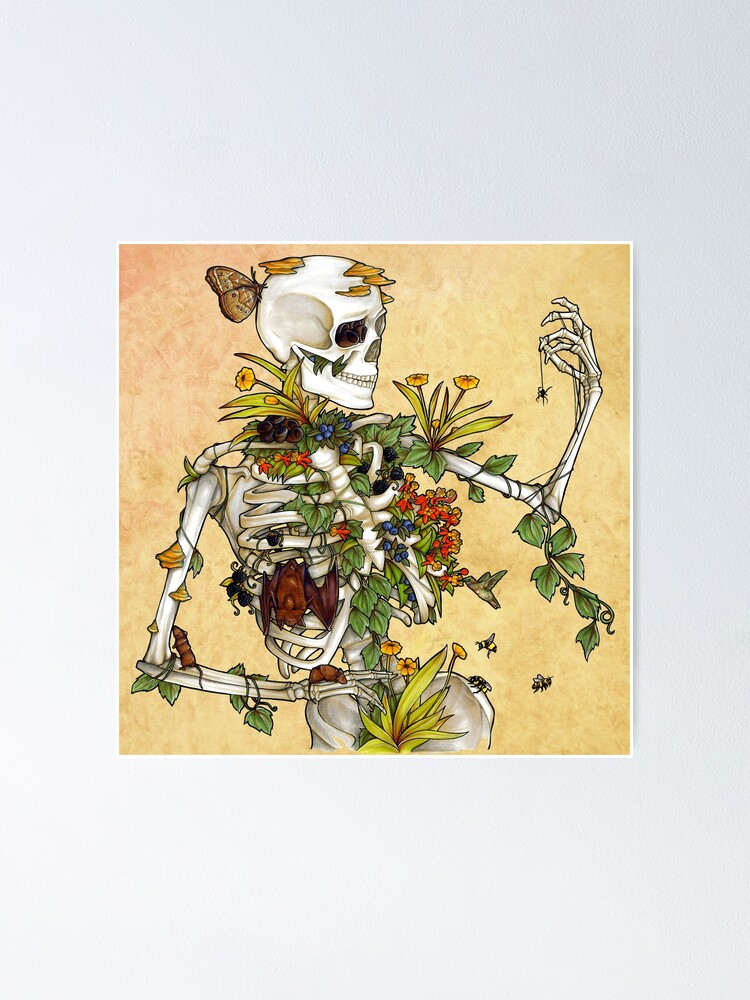 Alternate view of Bones and Botany Poster