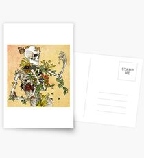 Postales Huesos y Botánica