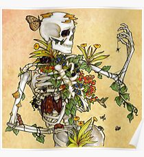Bones and Botany Poster