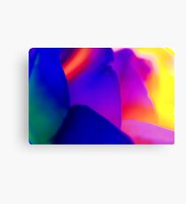 Petal magic Canvas Print