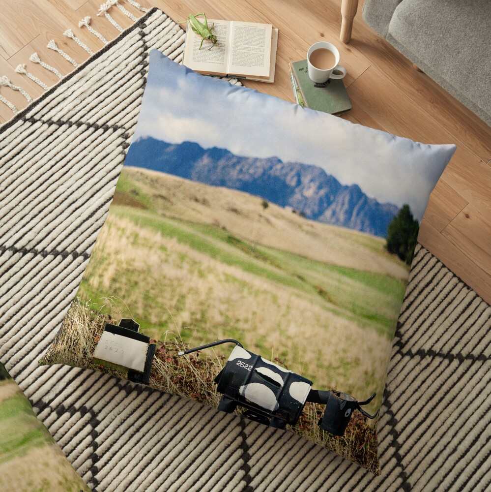 The letterboxes Floor Pillow