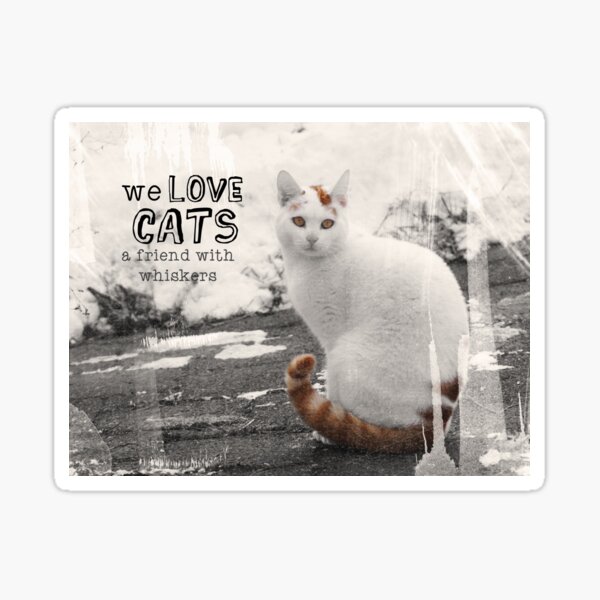 Vintage Cat Arno Sticker