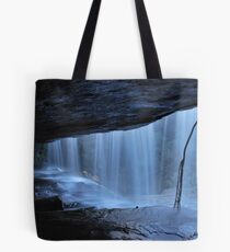 The Dreamer [4-8-2010 Tote Bag