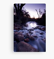 Remnants of the mighty Avon Canvas Print