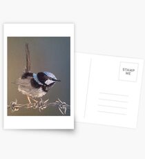 Terry's Cheeky Little Blue Wren Postcards