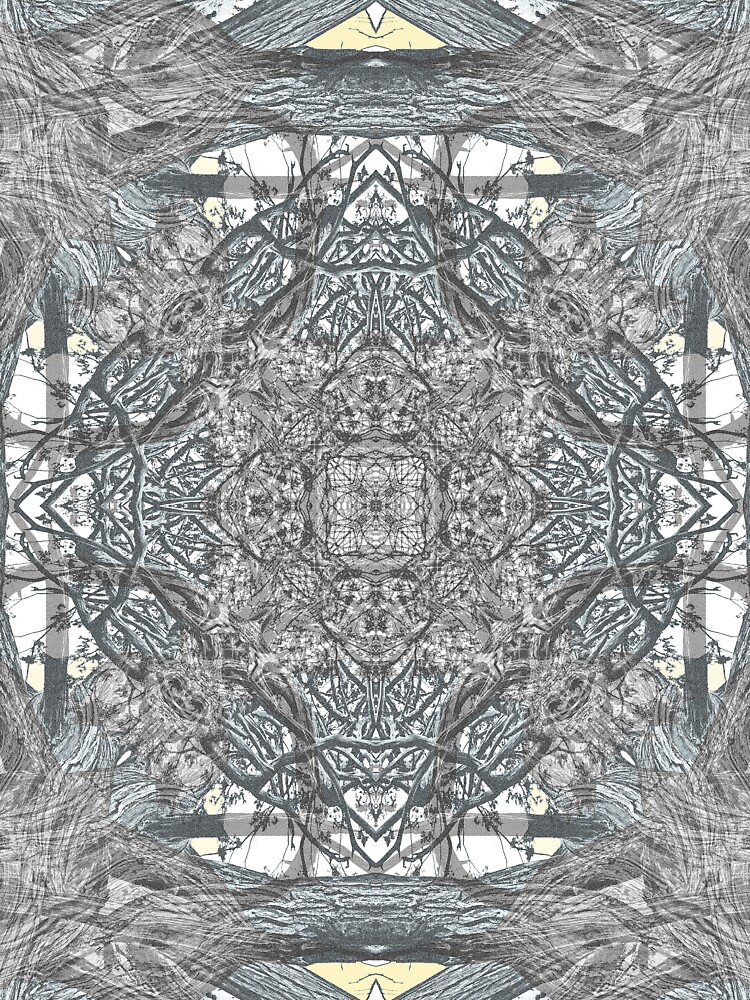 OLD JUNIPER MANDALA 2 by JeffBossler