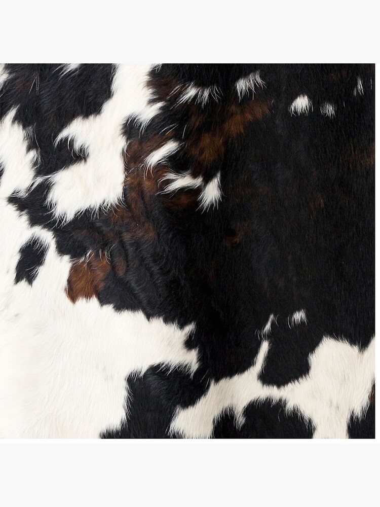 Cowhide Leather by cadinera