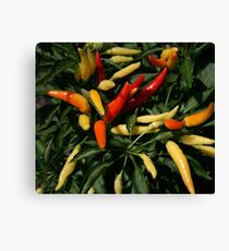 spicey Leinwanddruck
