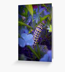 Blue Caterpillar Greeting Card