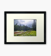"Smile" Framed Print