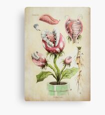 Botanische Illustration der Piranha-Anlage Metallbild