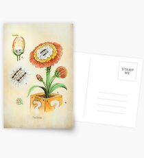 Fire Flower Botanical Illustration Postcards