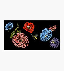Summer Garden Photographic Print