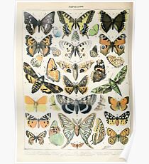 Adolphe Millot papillons A Poster