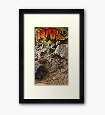 Nak Four. Framed Print
