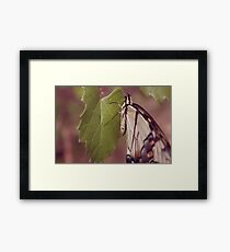 close Framed Print