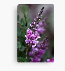 Pretty in Pink Canvas Print