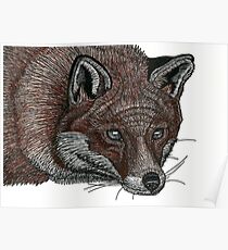 Red Fox Pen Drawing Poster